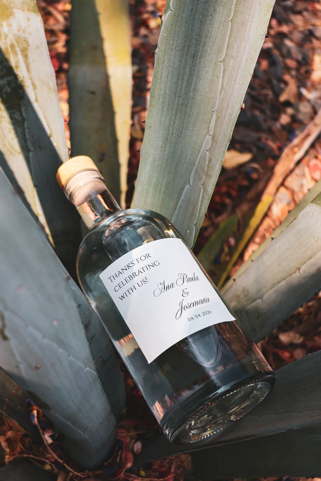 Botella de tequila blanco con etiqueta personalizada de boda entre pencas de agave
